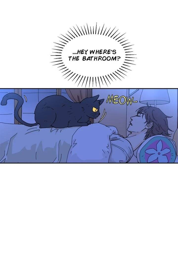 Page 54 of Chapter 20
