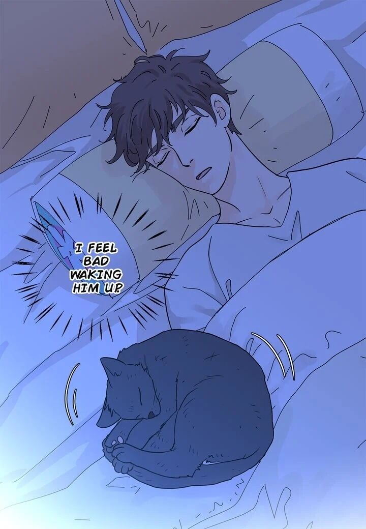 Page 56 of Chapter 20