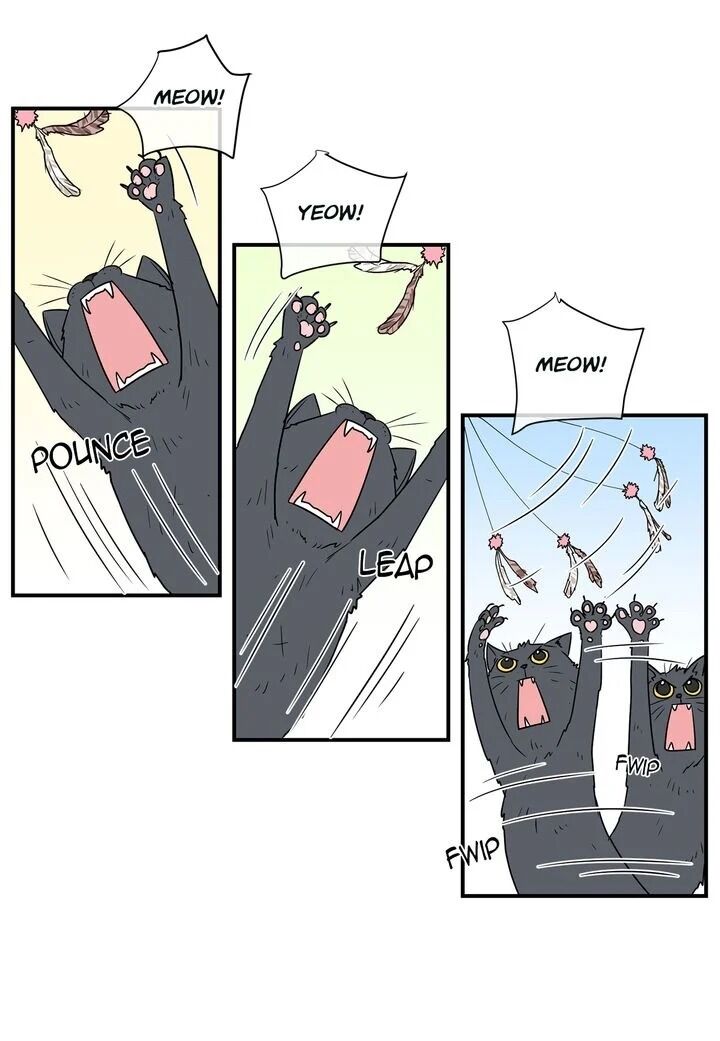 Page 25 of Chapter 30
