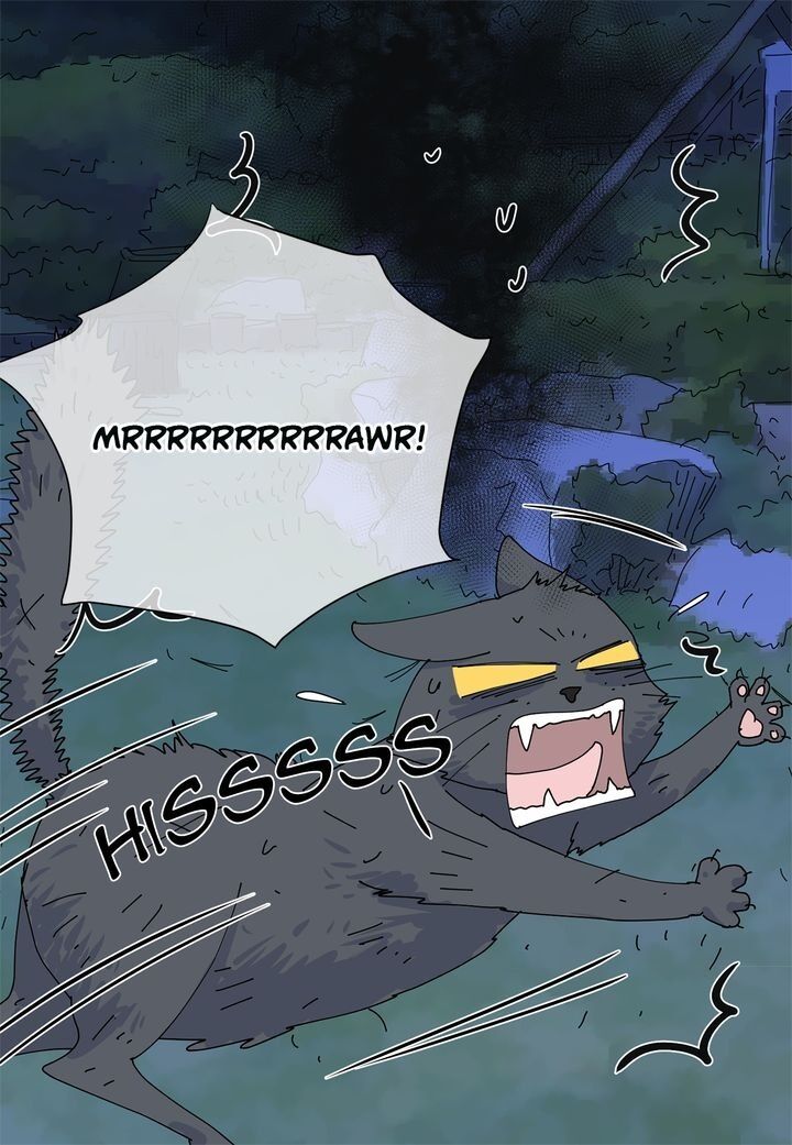 Page 36 of Chapter 66