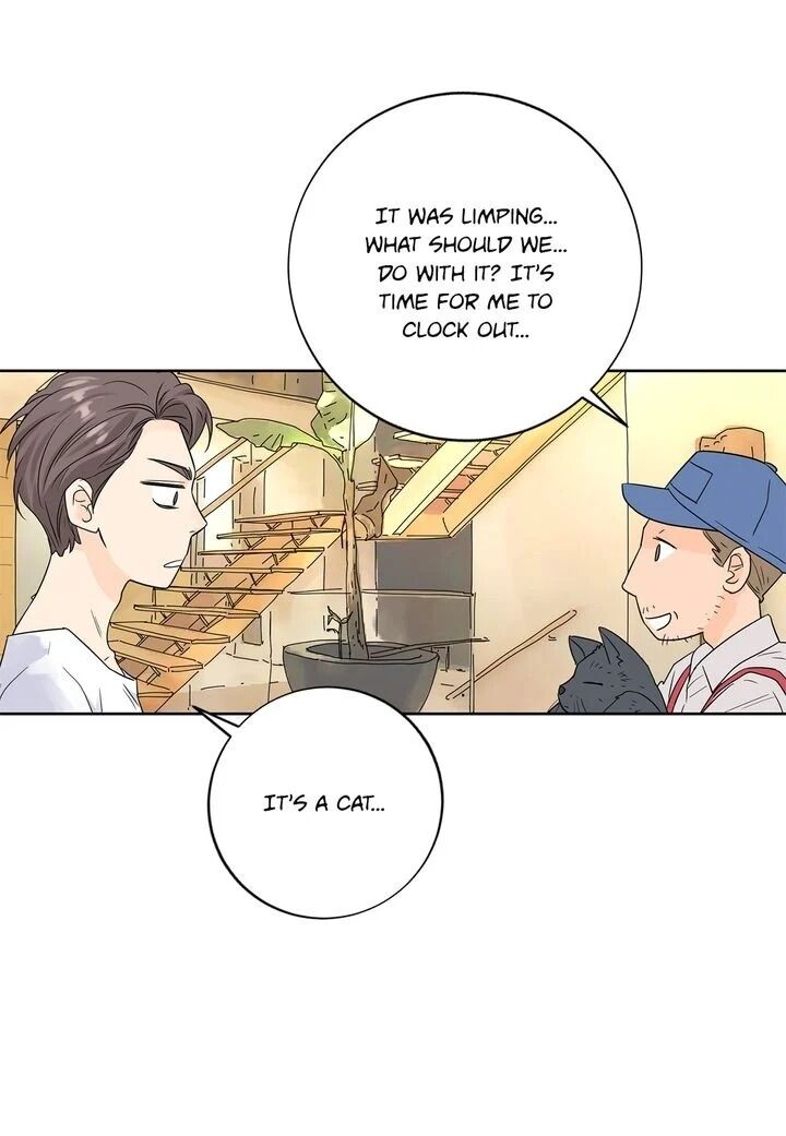 Page 41 of Chapter 7