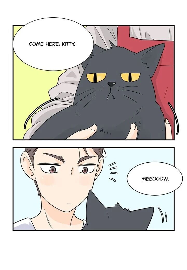 Page 44 of Chapter 7