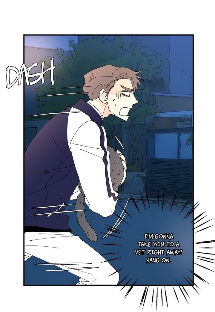 Page 46 of Chapter 72