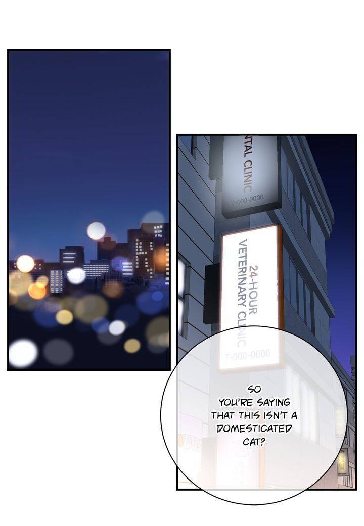 Page 3 of Chapter 73