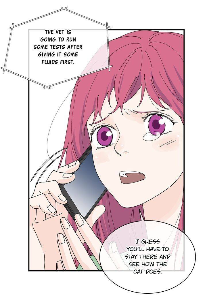 Page 17 of Chapter 73