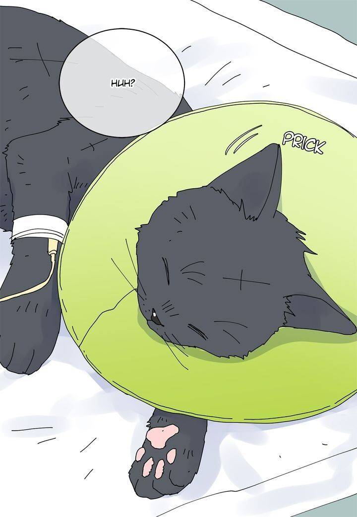 Page 44 of Chapter 73