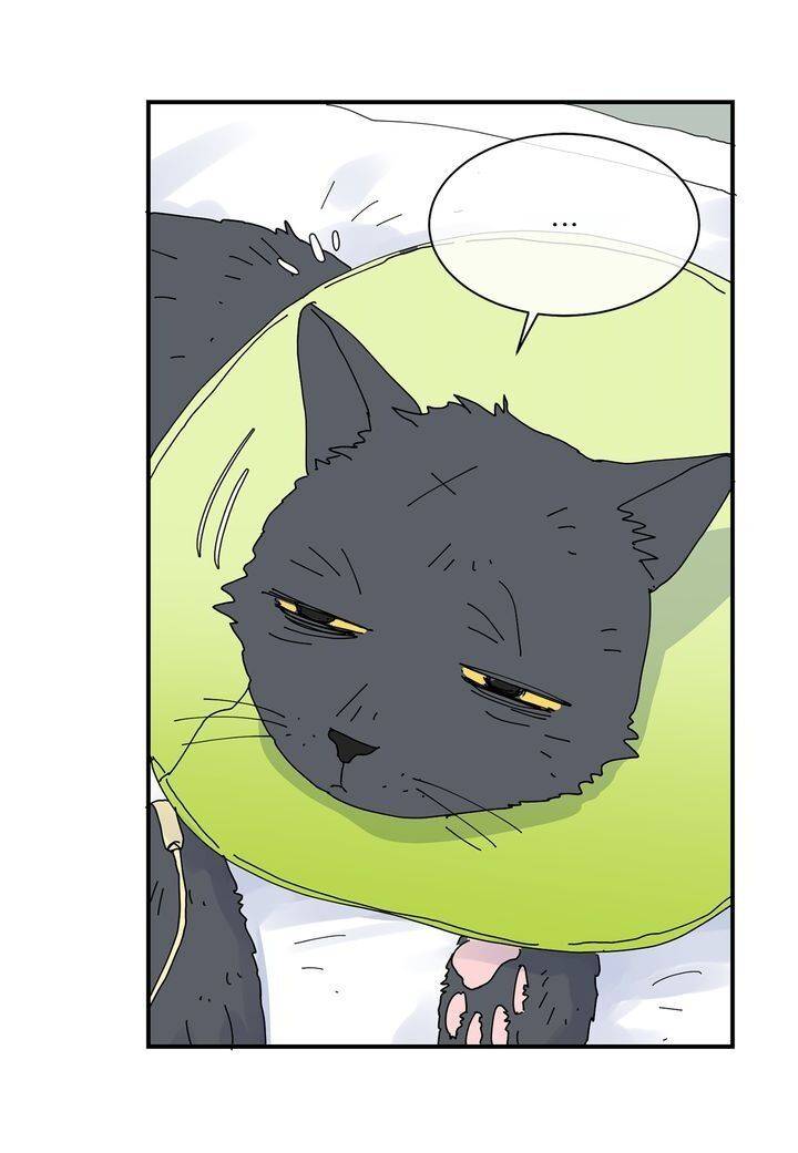 Page 46 of Chapter 73