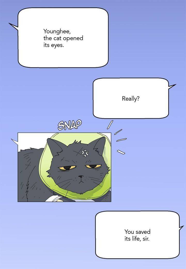 Page 48 of Chapter 73