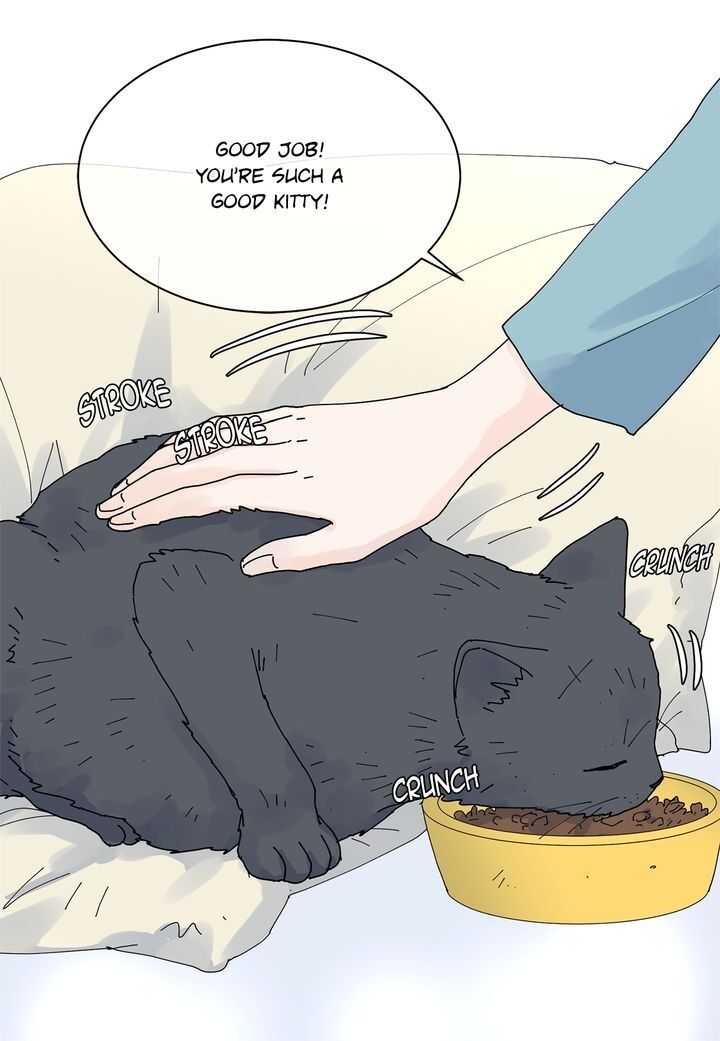 Page 13 of Chapter 75