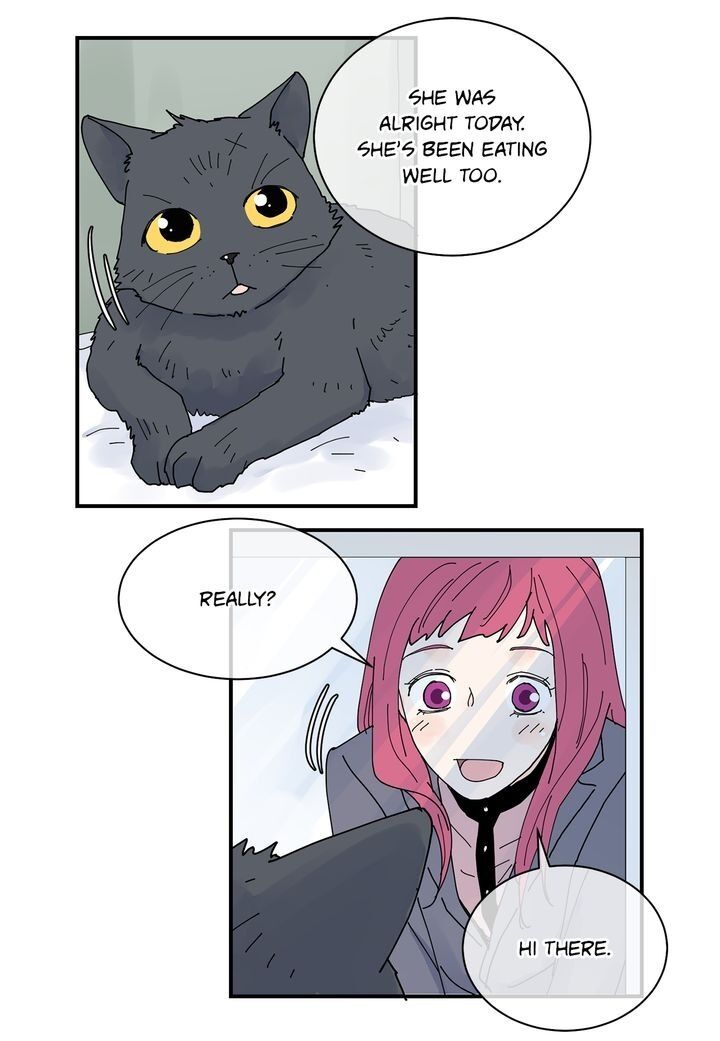 Page 13 of Chapter 78
