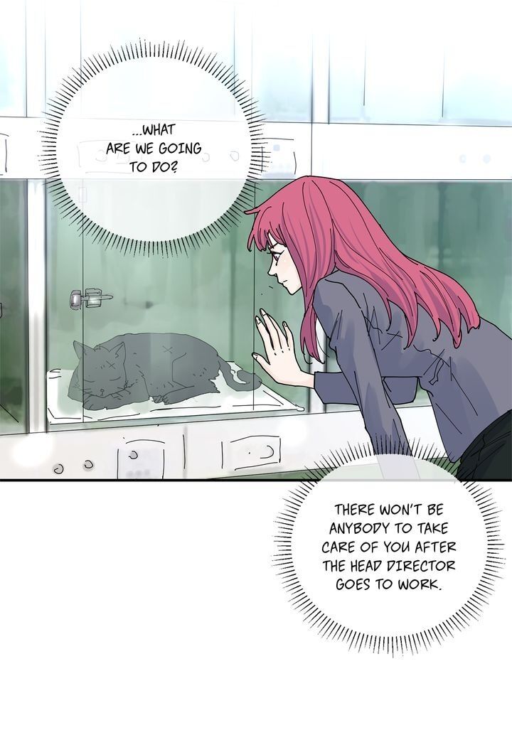 Page 18 of Chapter 78