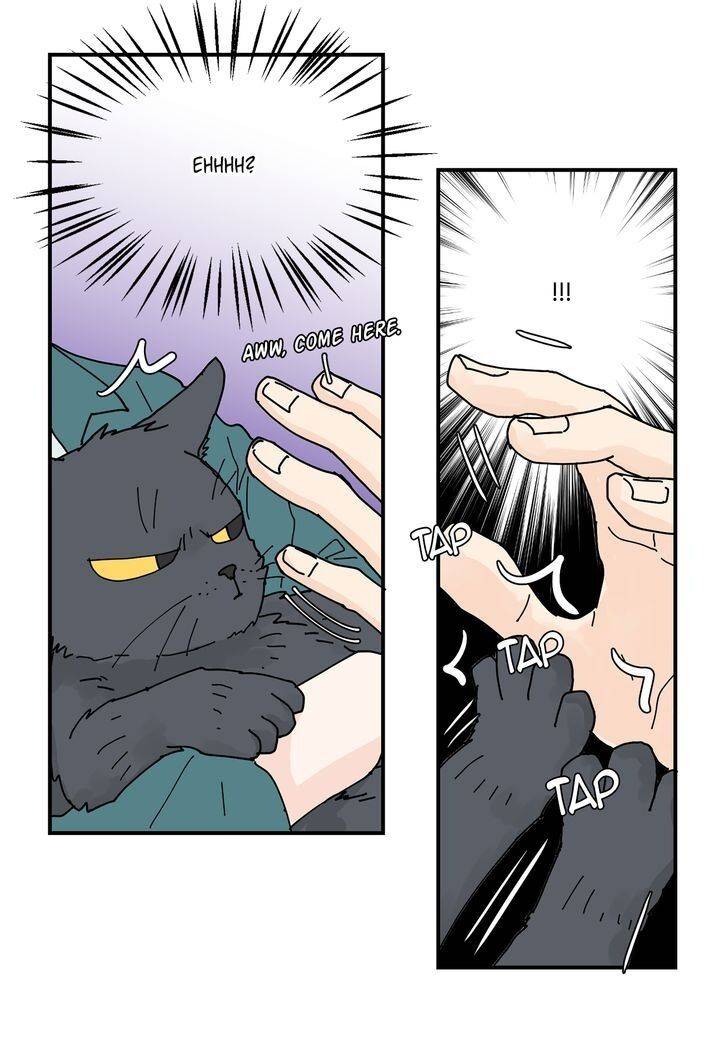 Page 28 of Chapter 81