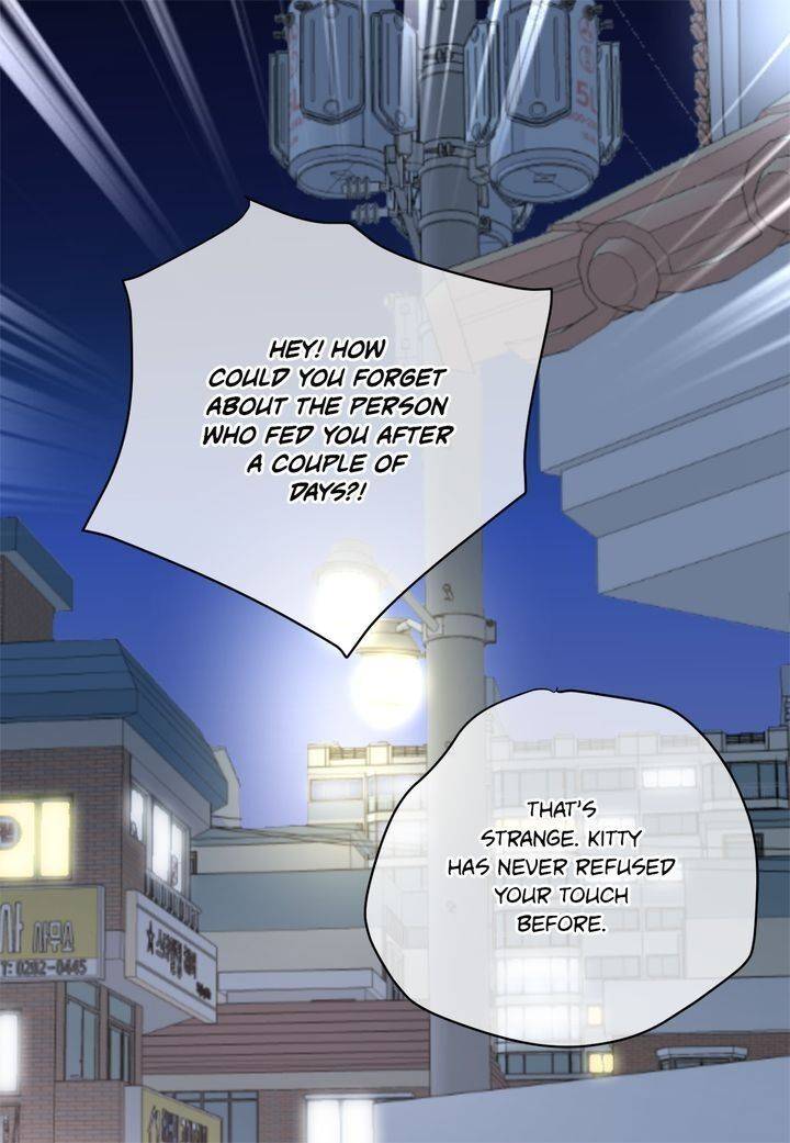 Page 29 of Chapter 81