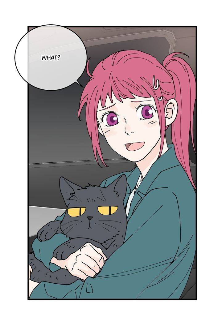 Page 31 of Chapter 81