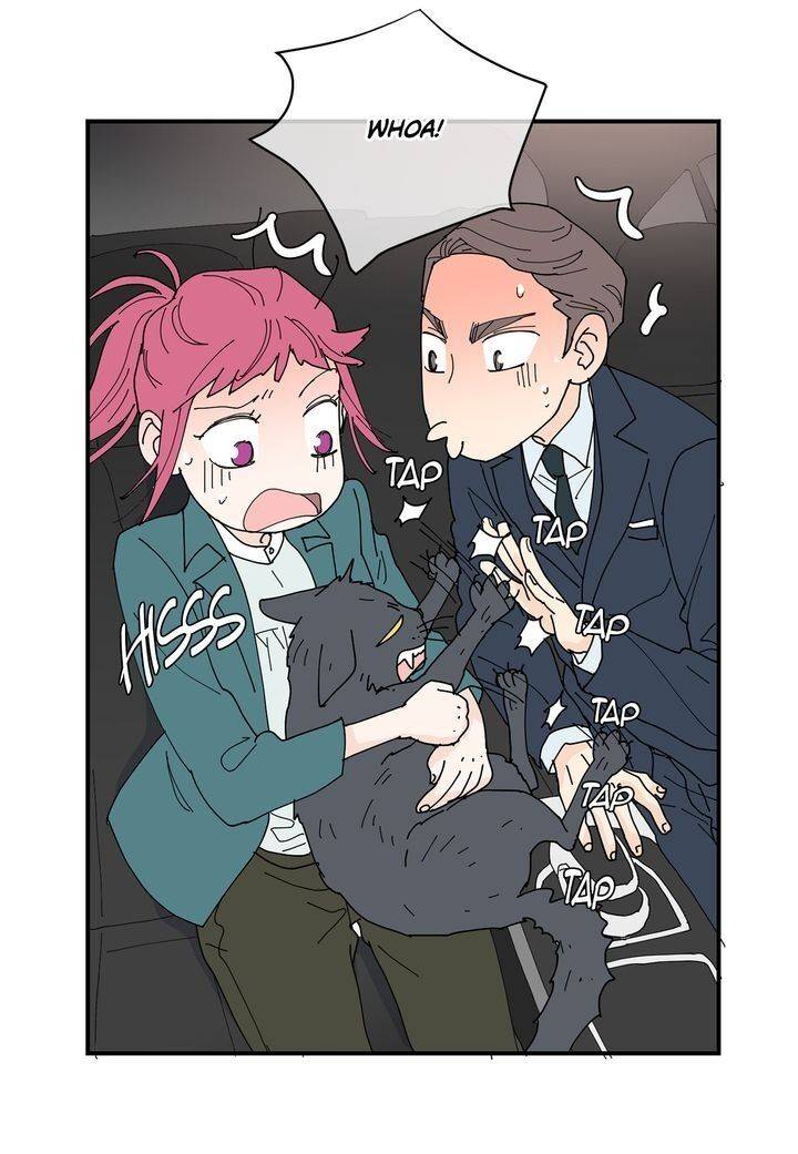 Page 38 of Chapter 81