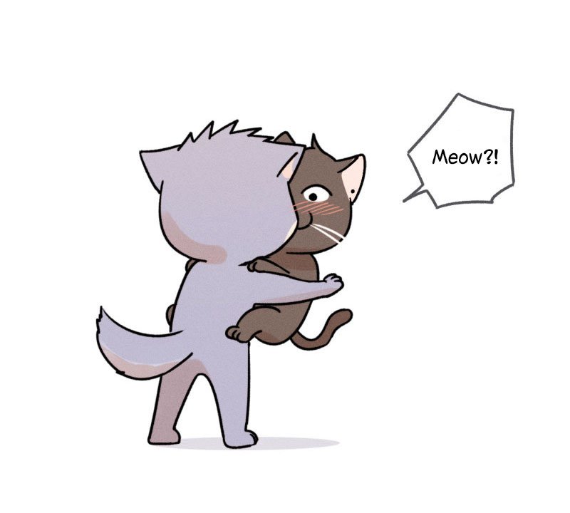 Page 54 of Chapter 107