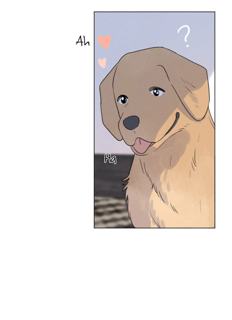 Page 8 of Chapter 109.5