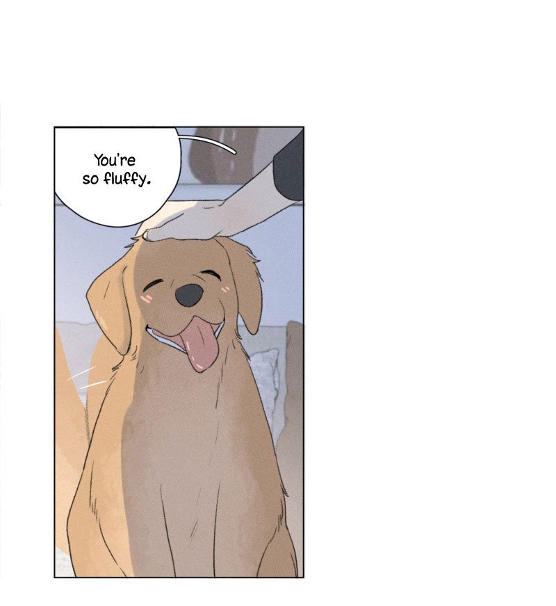 Page 16 of Chapter 109.5