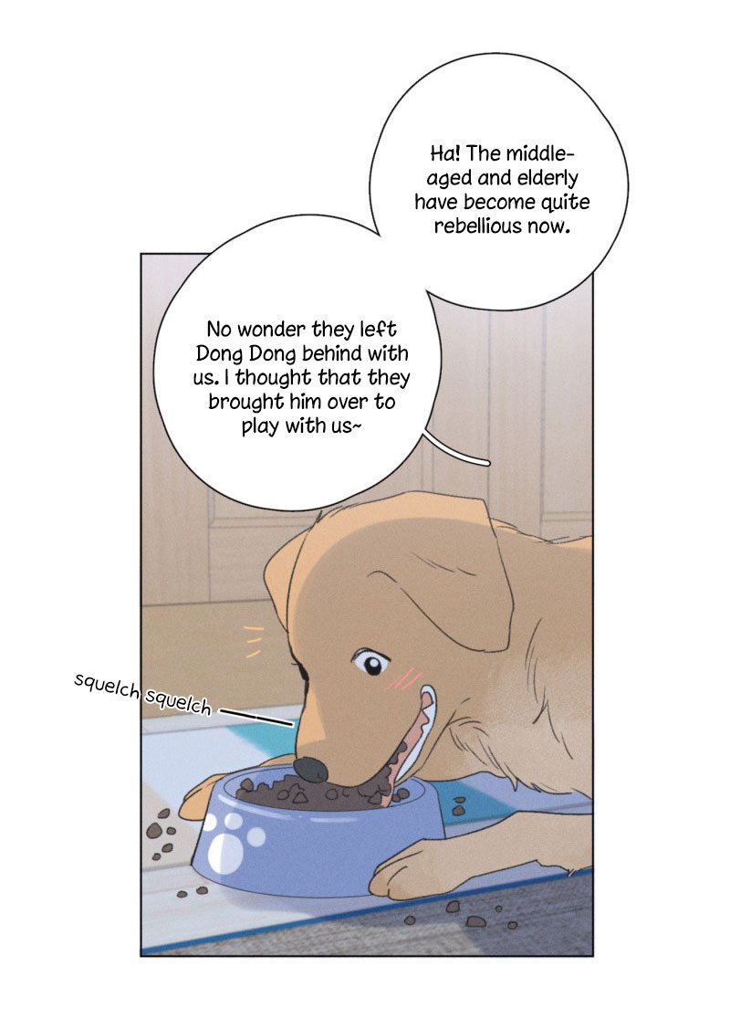 Page 26 of Chapter 109.5