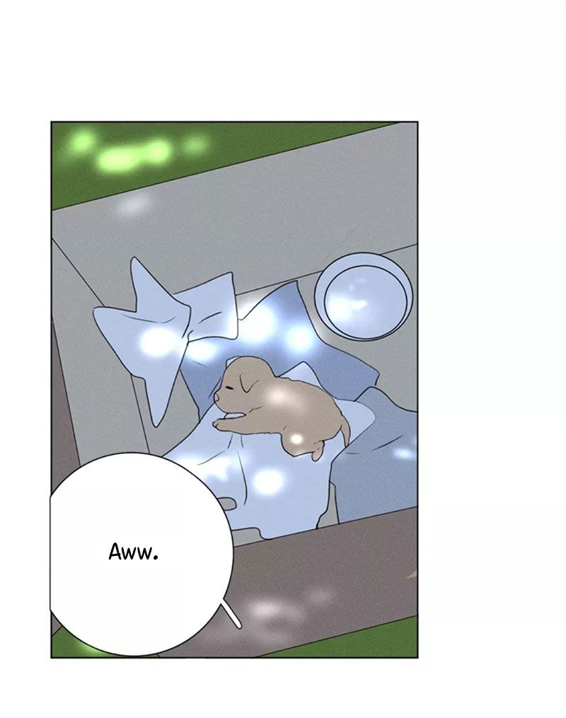 Page 29 of Chapter 133
