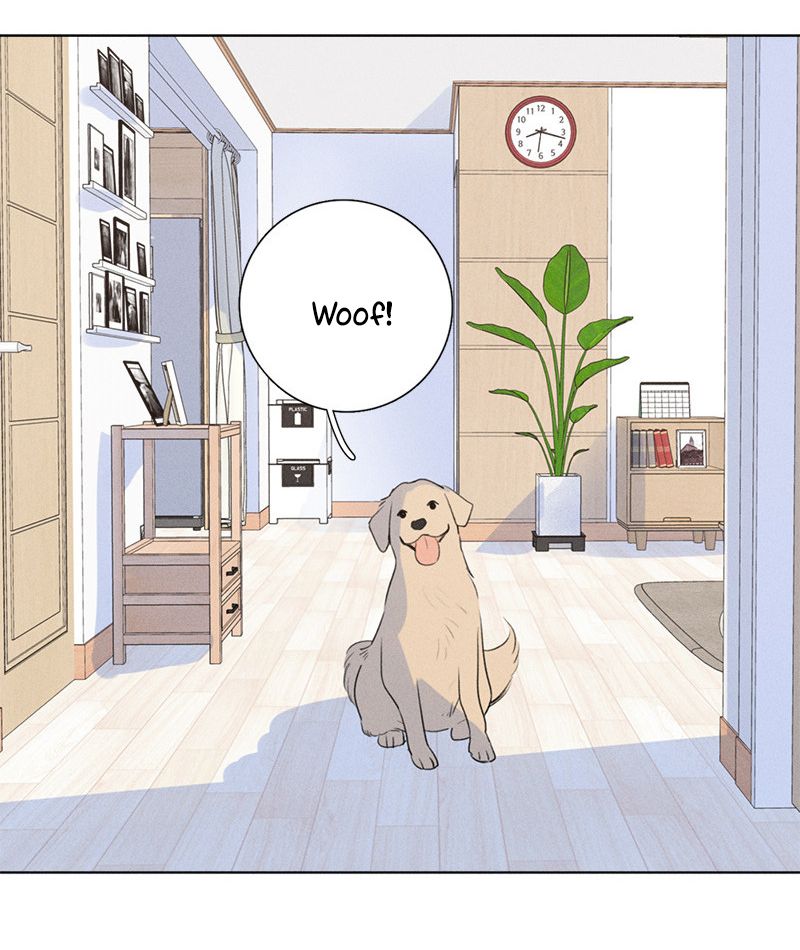 Page 13 of Chapter 138.1