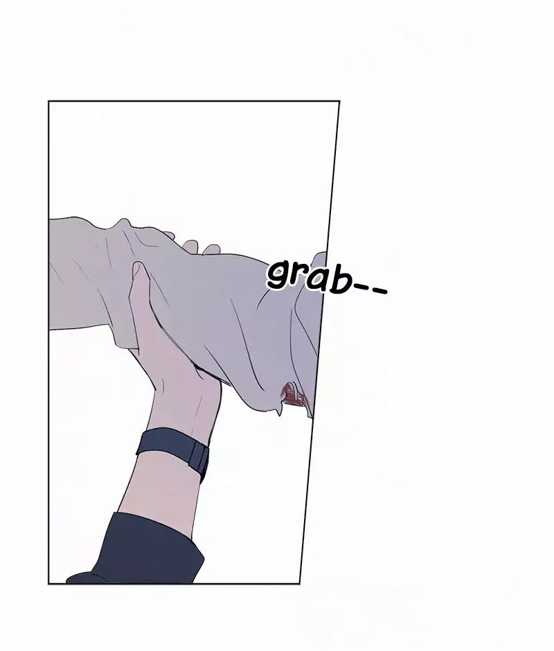 Page 17 of Chapter 55