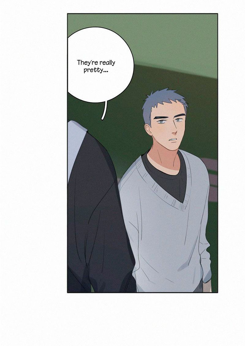 Page 21 of Chapter 61