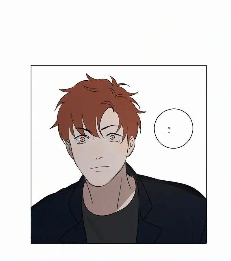 Page 53 of Chapter 78