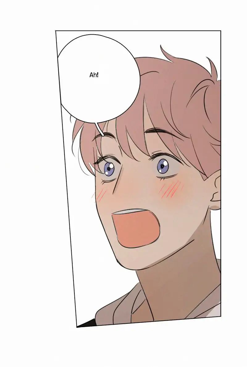 Page 39 of Chapter 79