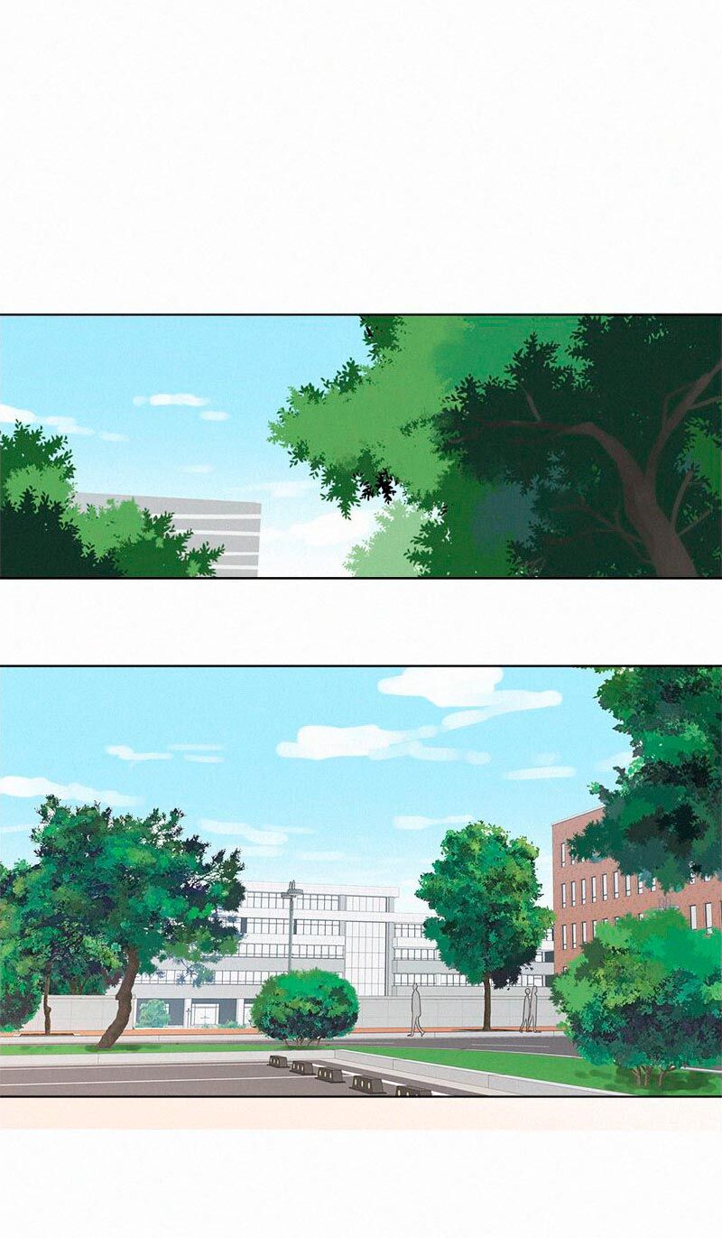 Page 8 of Chapter 85