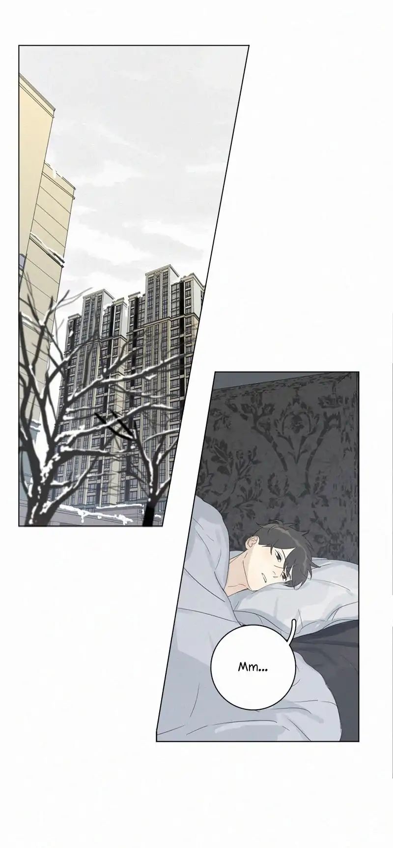 Page 19 of Chapter 95