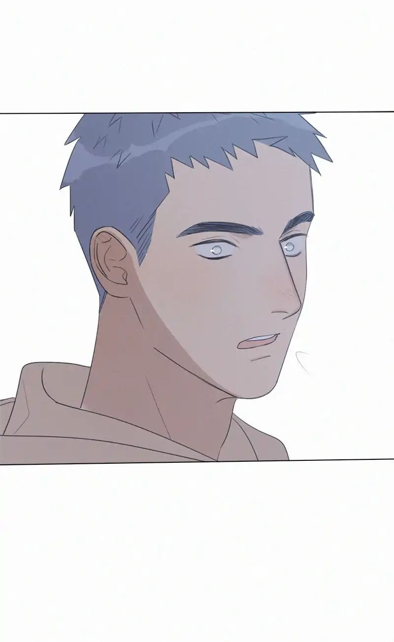 Page 33 of Chapter 95