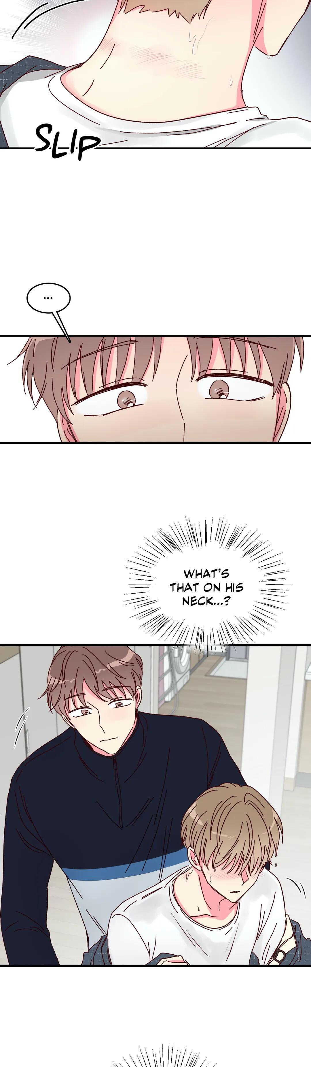 Page 19 of Chapter 15