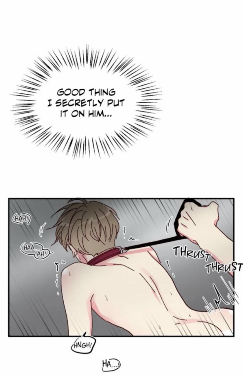 Page 19 of Chapter 16