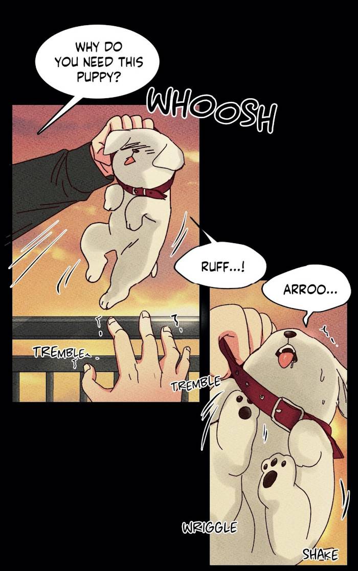 Page 14 of Chapter 28