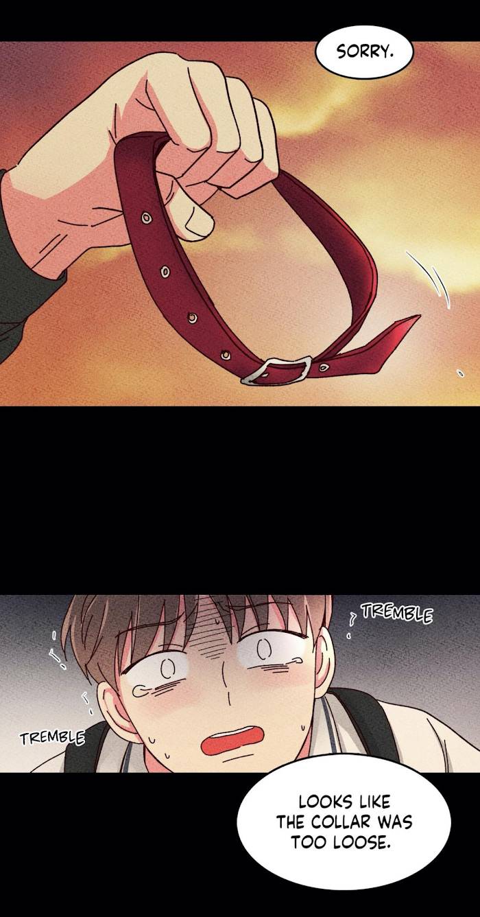 Page 16 of Chapter 28