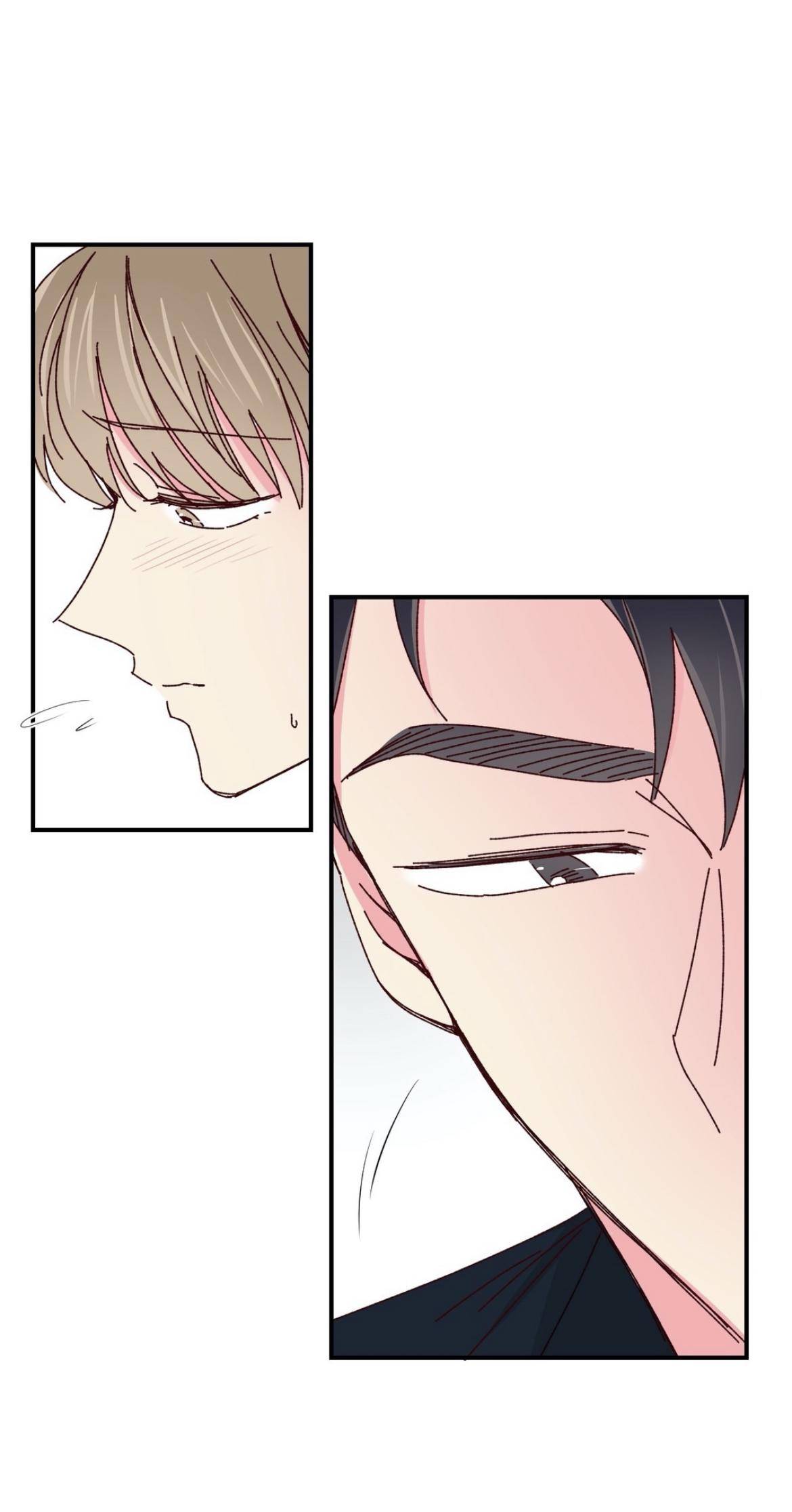 Page 41 of Chapter 38