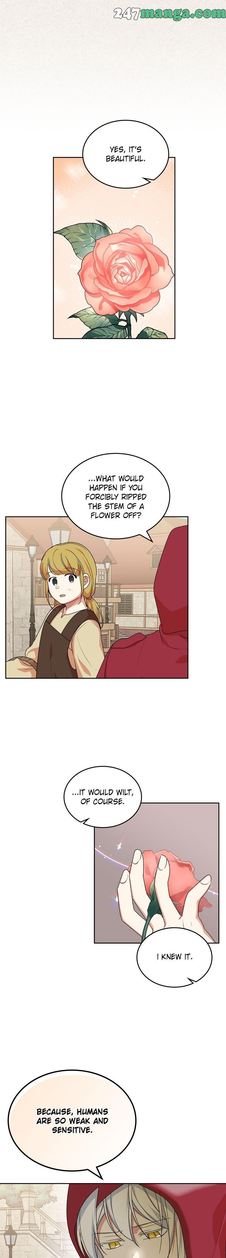 Page 19 of Chapter 85