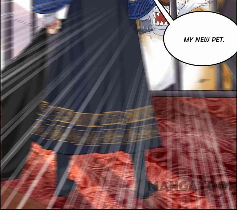 Page 19 of Chapter 221