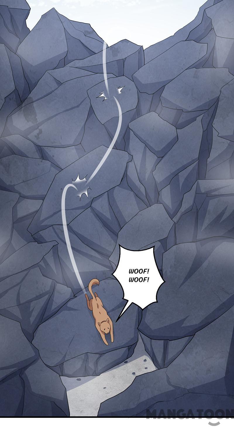 Page 17 of Chapter 253