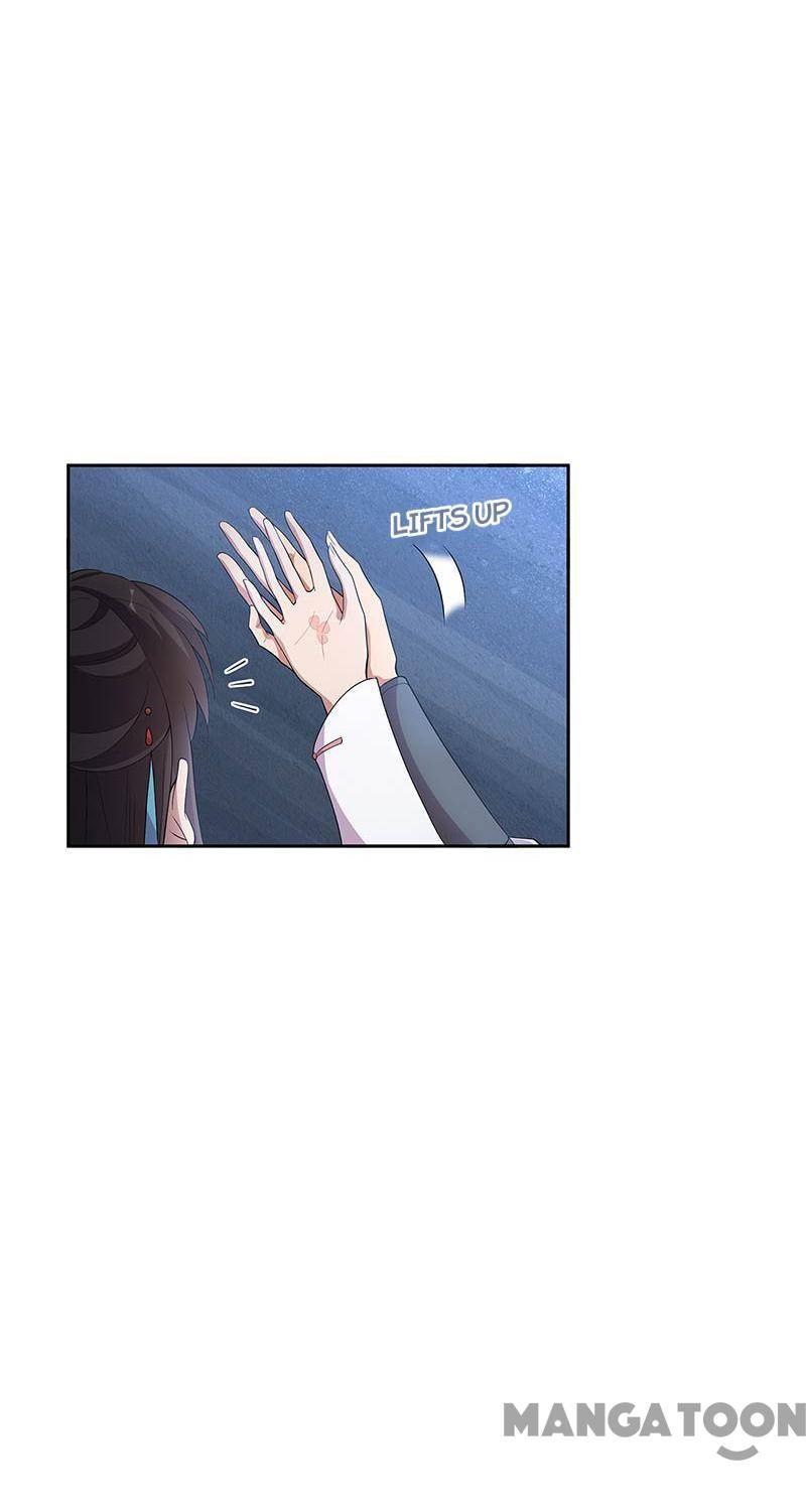 Page 13 of Chapter 323
