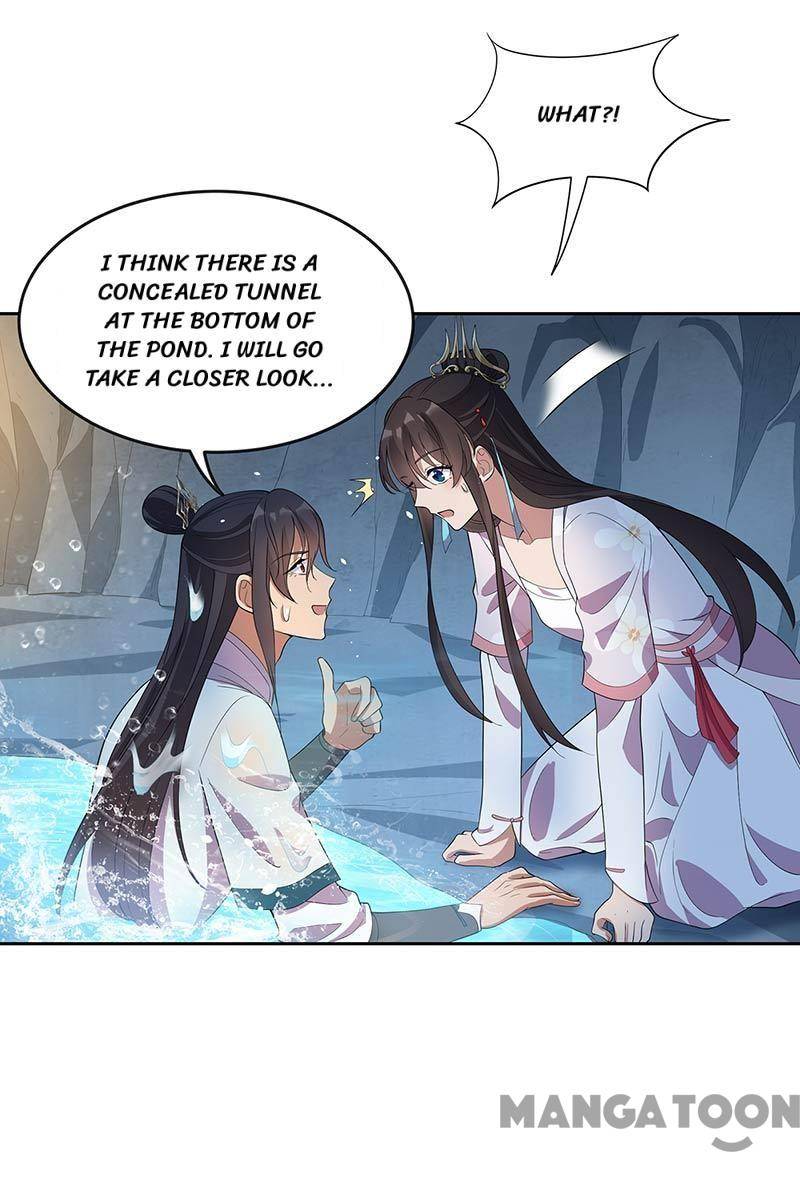 Page 40 of Chapter 323