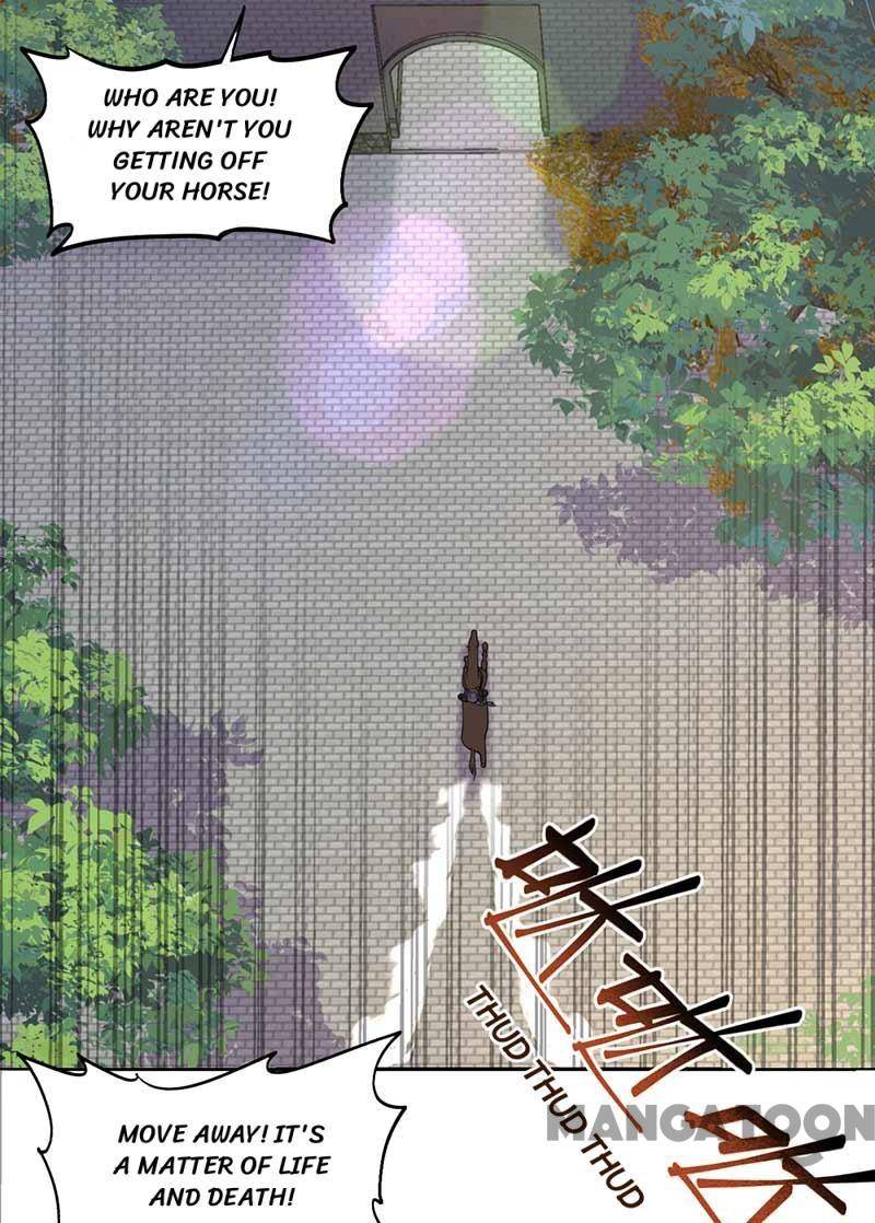 Page 24 of Chapter 344