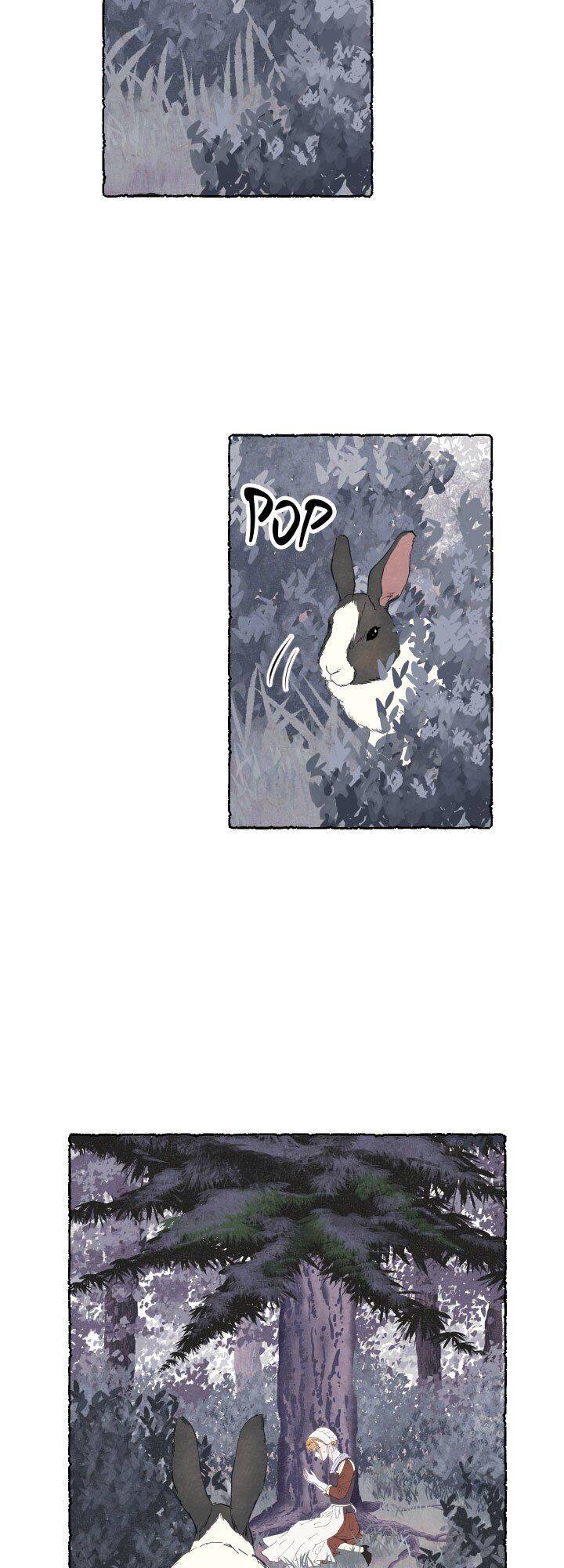 Page 6 of Chapter 11