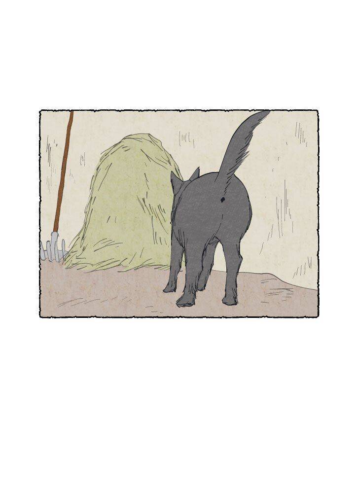 Page 20 of Chapter 12