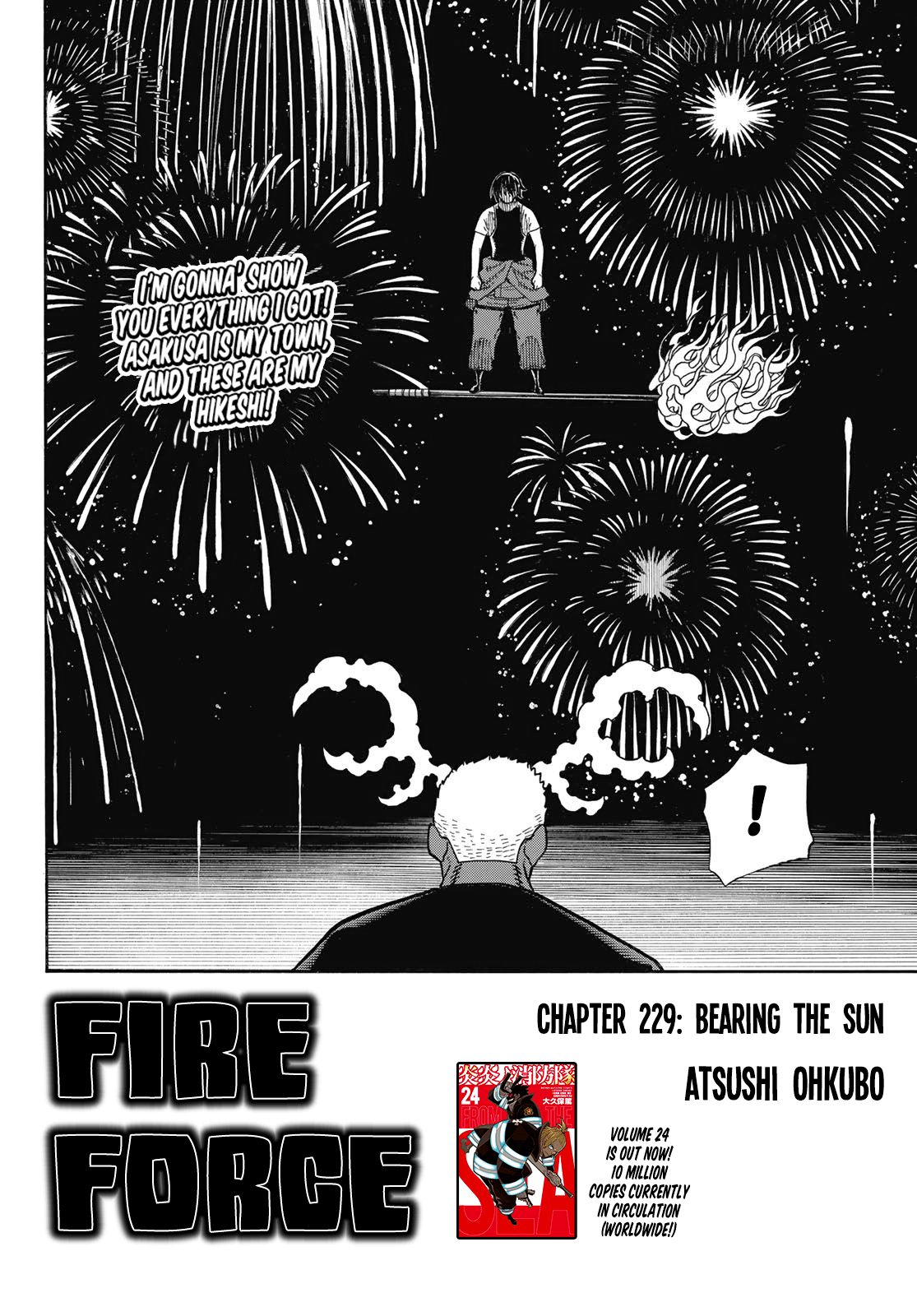 Page 3 of Chapter 229