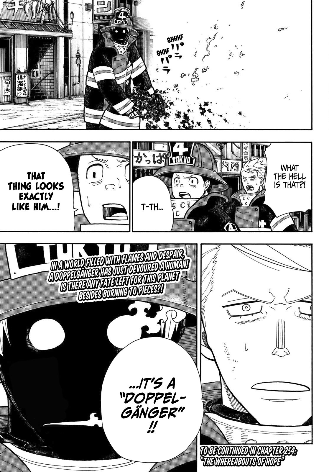 Page 17 of Chapter 253