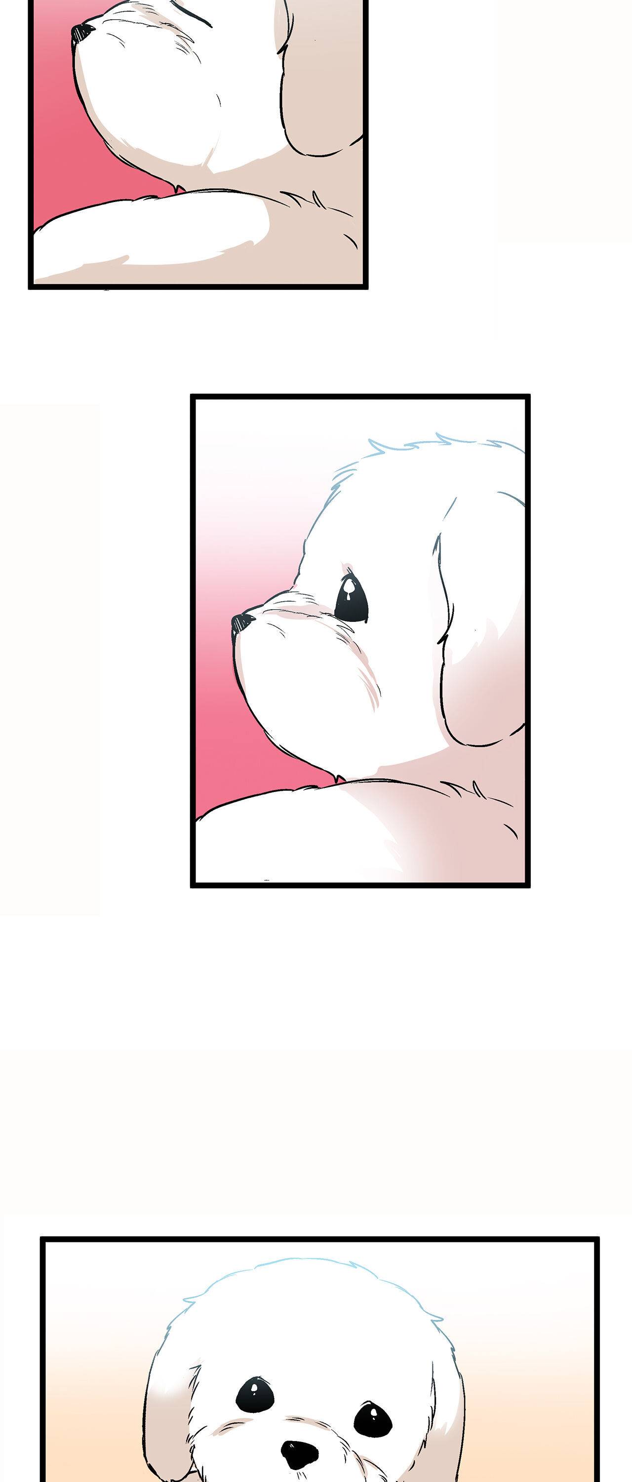 Page 11 of Chapter 29