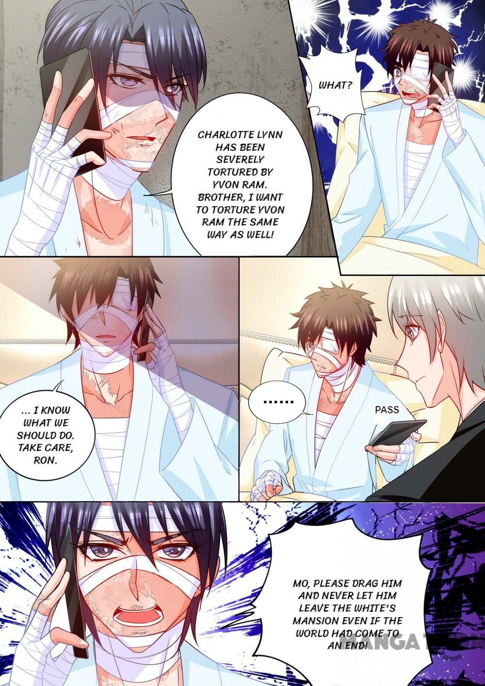 Page 8 of Chapter 208