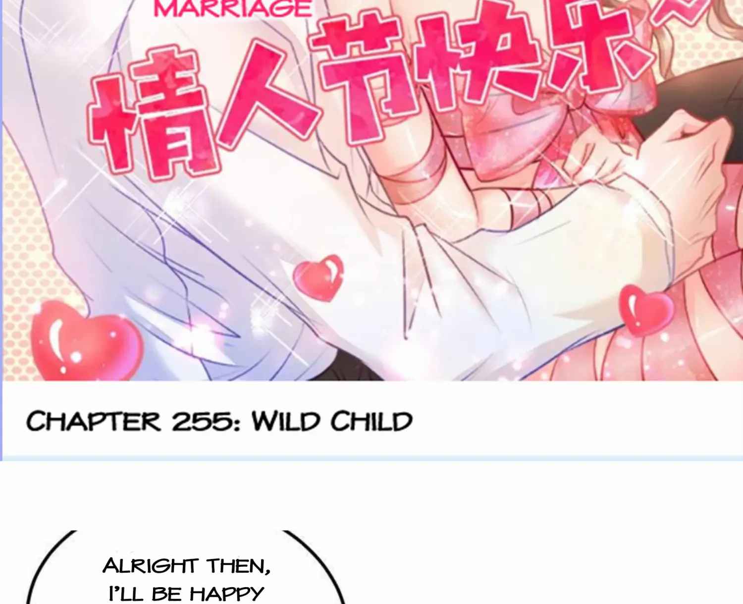 Page 4 of Chapter 255